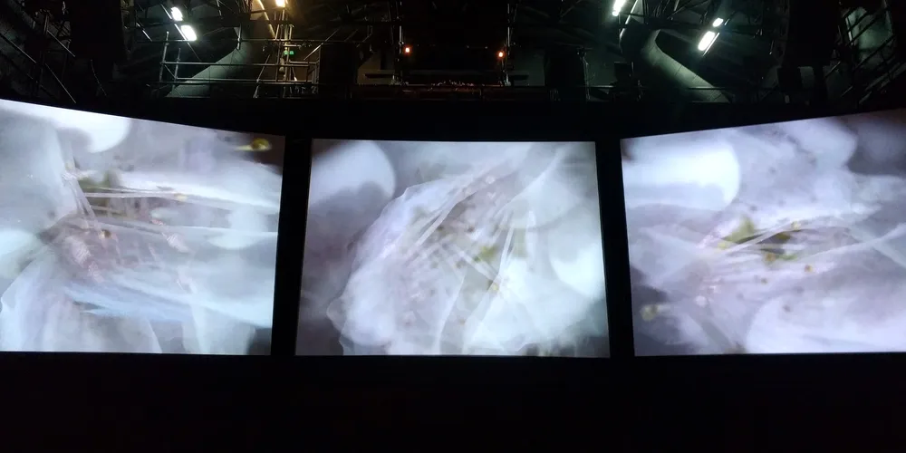 HITO at Naves Matadero